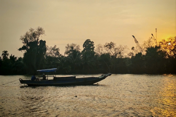 Cào cá trên sông về đêm