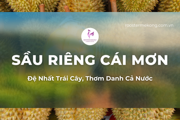 SẦU RIÊNG CÁI MƠN - Đệ Nhất Trái Cây, Thơm Danh Cả Nước