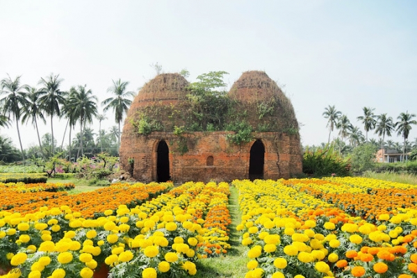 MÙA HOA TẾT CHỢ LÁCH