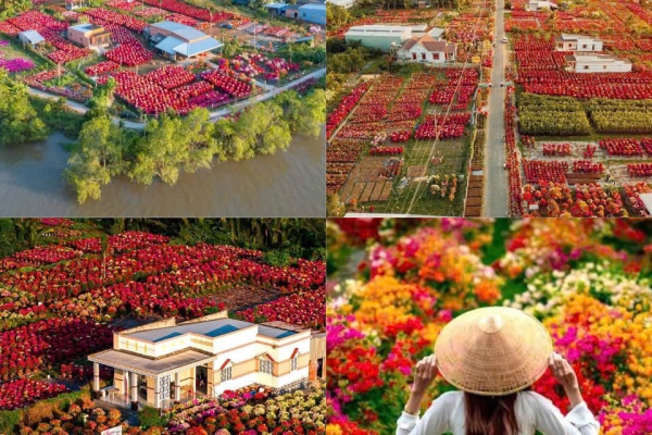 DU XUÂN 2026 TẠI LÀNG HOA CÁI MƠN CÙNG ROOSTER MEKONG RESORT